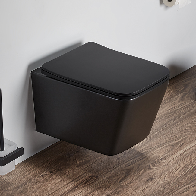 Novara Wall Hung Toilet
